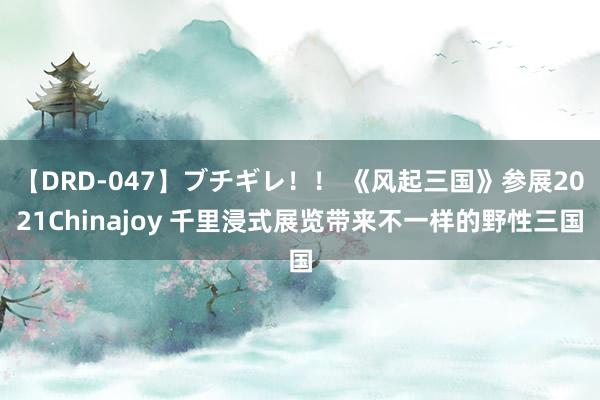 【DRD-047】ブチギレ！！ 《风起三国》参展2021Chinajoy 千里浸式展览带来不一样的野性三国