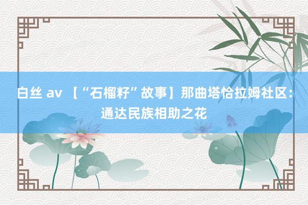 白丝 av 【“石榴籽”故事】那曲塔恰拉姆社区：通达民族相助之花